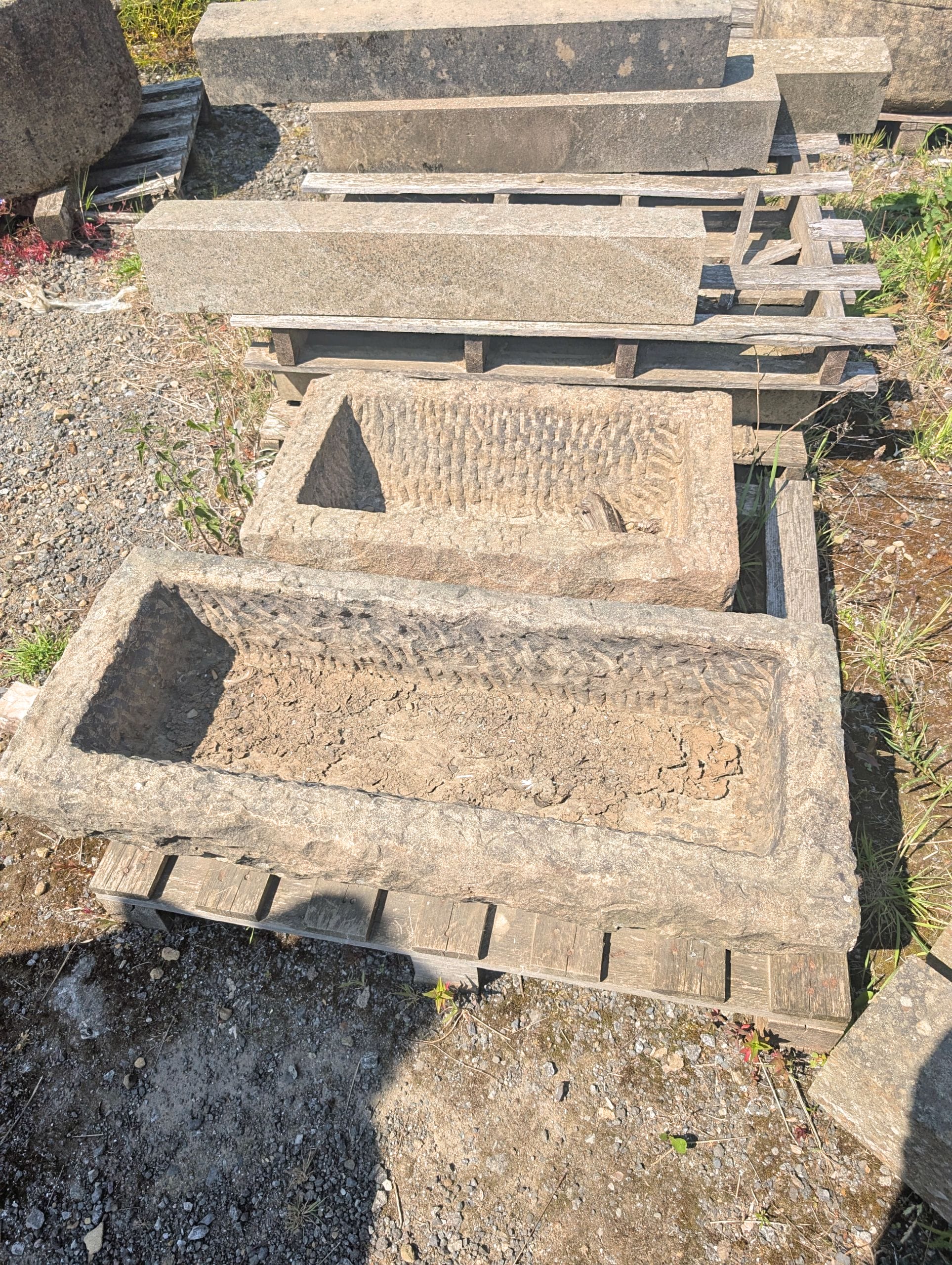 PXL_20250619_131003325