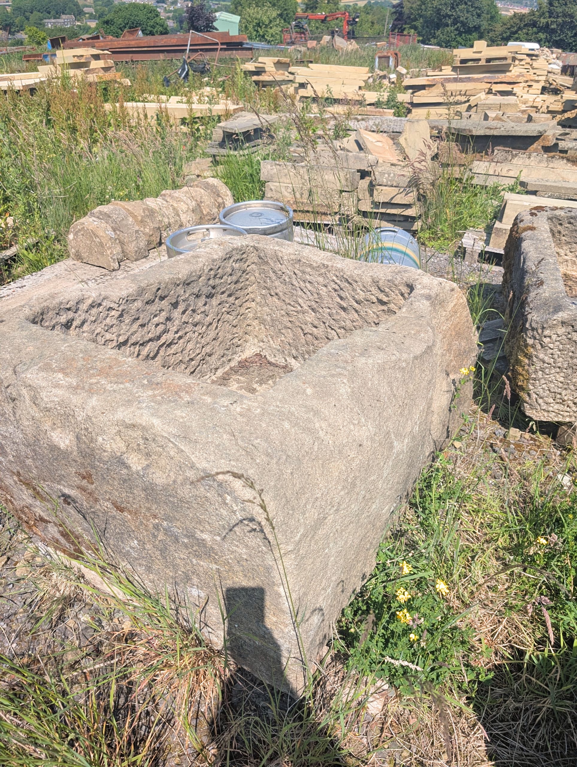 PXL_20250619_131032794 (1)