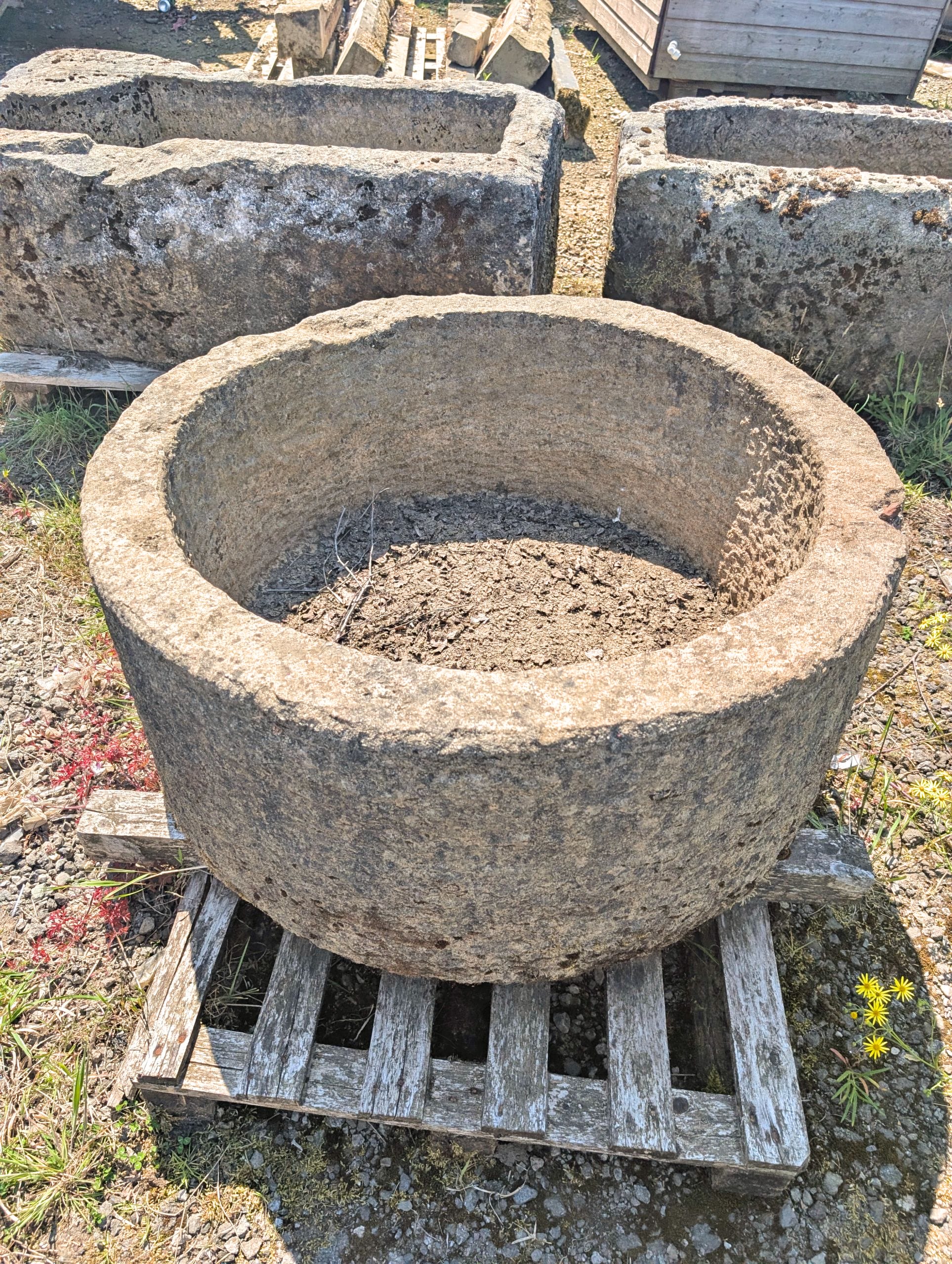 PXL_20250619_131058392