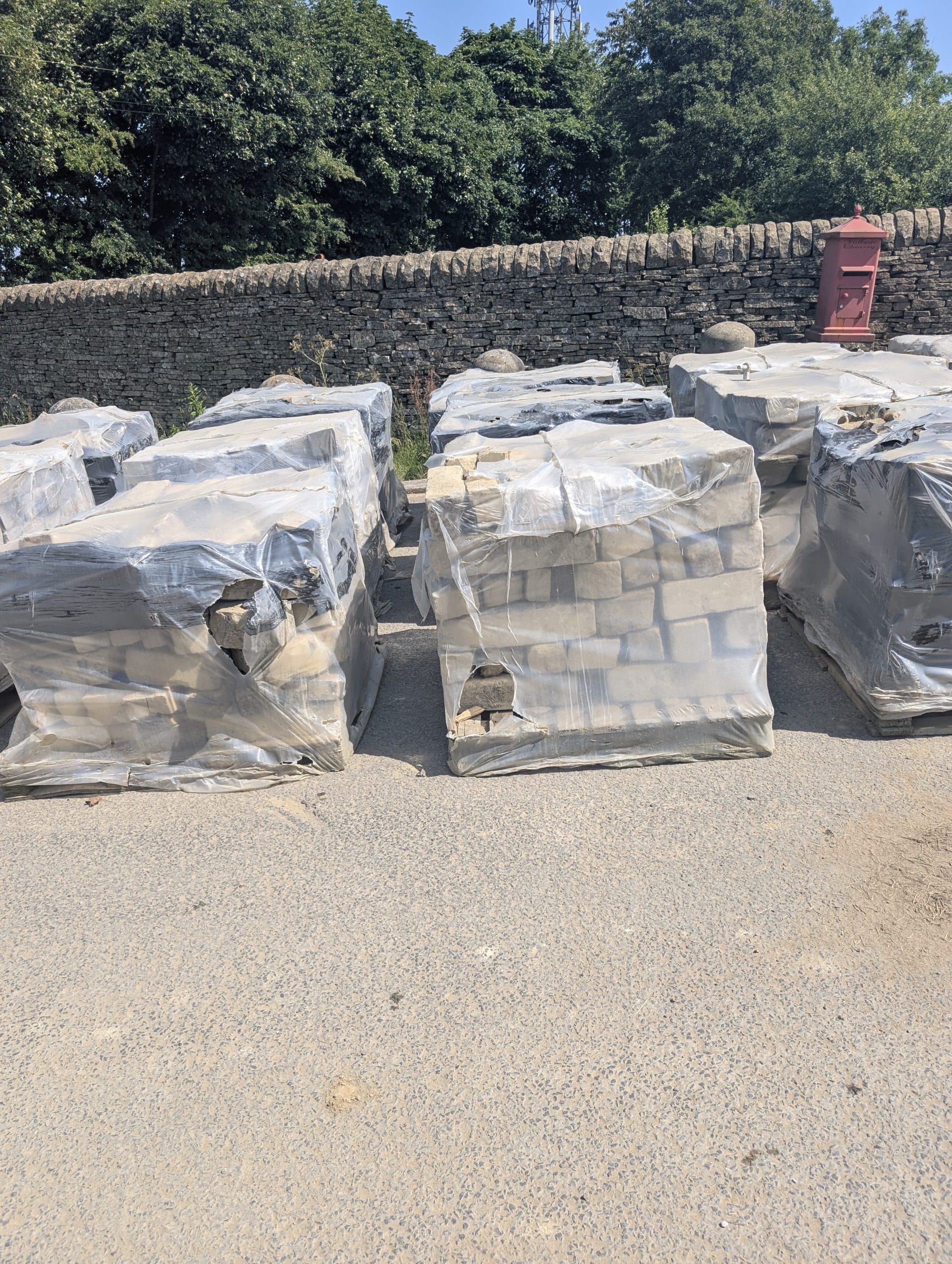 PXL_20250619_132037817